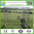 Fournisseur de Chine Grandes cages de chien galvanisé à chaud